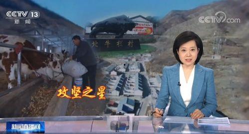 爆料涞源新闻报道最新视频,视频揭露惊人真相