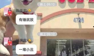 小姐姐最新爆料图片,惊艳瞬间,美得让人心动