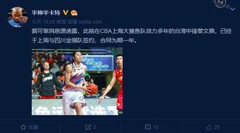 8月赛季最新爆料视频,精彩瞬间与战术解析